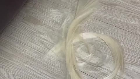 Cats glare funny moments