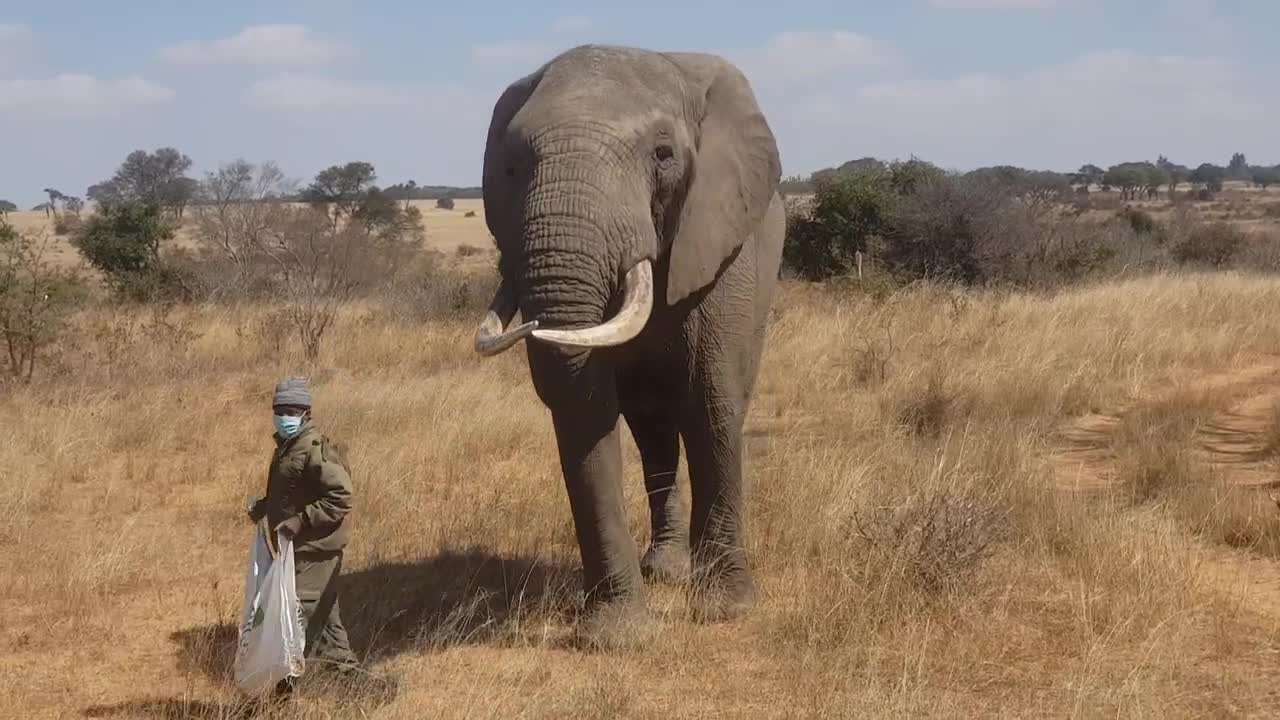 Imire Park, Marondera