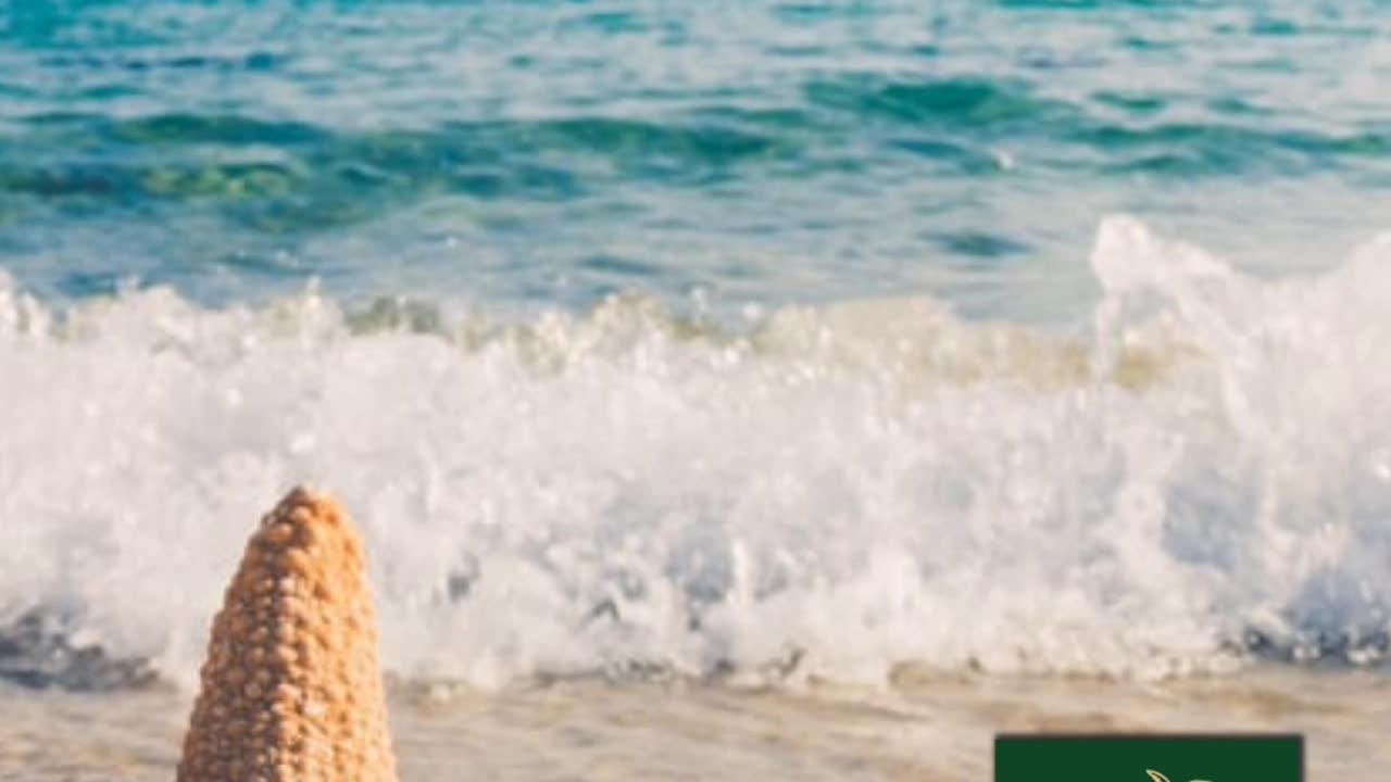 A Perfect Puerto Vallarta Vacation Starts Here