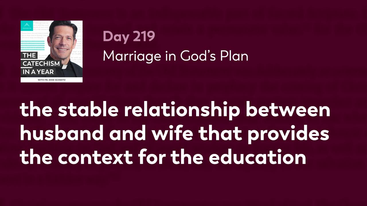 Day 219: Marriage in God’s Plan — The Catechism in a Year (with Fr. Mike Schmitz)