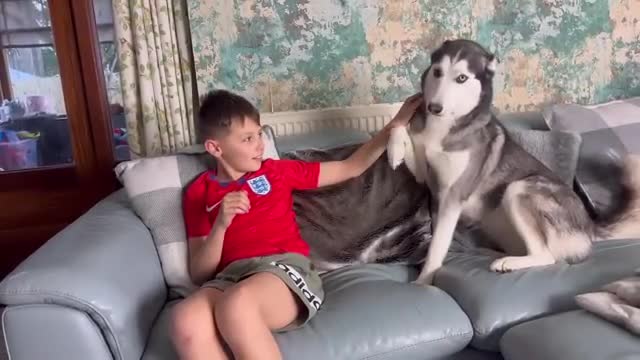 Huskies Hilarious Reaction To My Kids Fake Crying Prank!!😂. [CUTEST REACTIONS EVER!!]