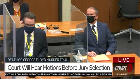 In-Depth Analysis of Chauvin Trial by Renowned Expert Lynne Torgerson Criminal Defense Attorney