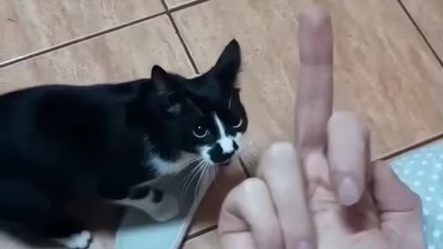 Show me that finger again 😂