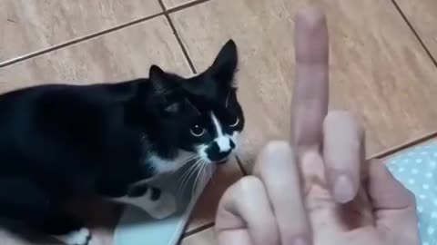 Show me that finger again 😂