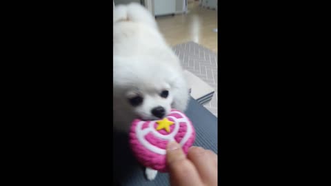 It's mine! Don't touch it!!