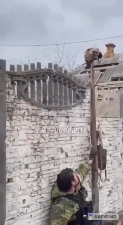 Chechen soldiers make fun of the Ukranian snipers Mariopul