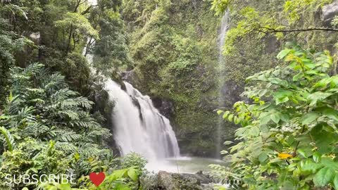 Relaxing Music | Sleeping, Meditation, Stress Relief | [6187] ⭐️