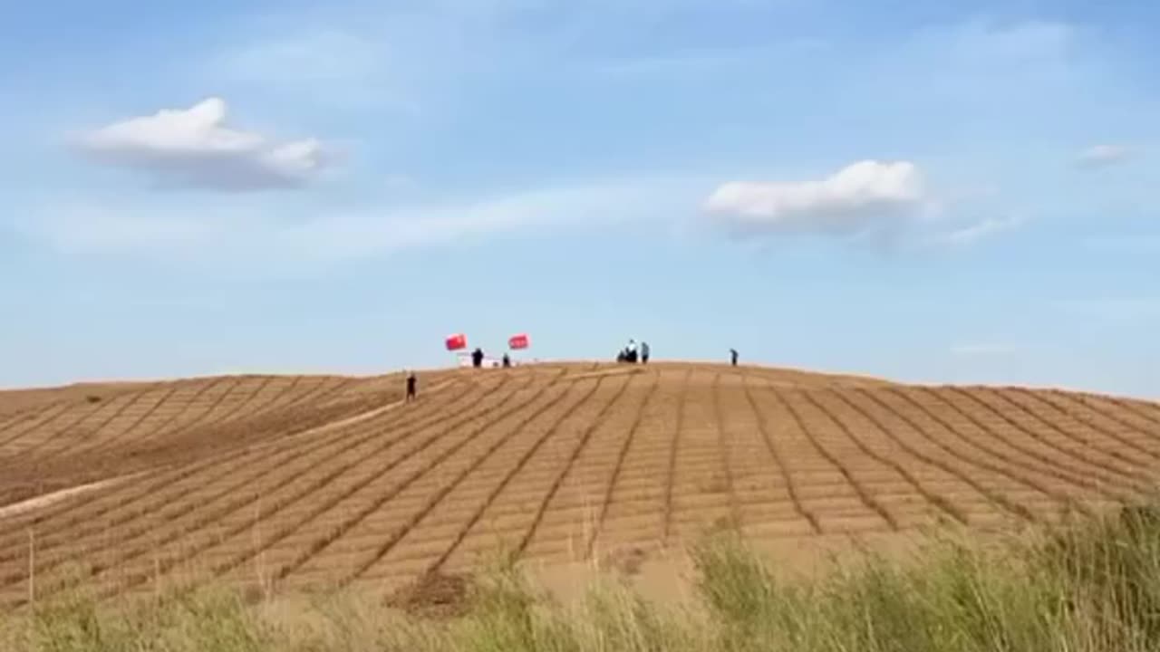 How they turn the desert into green over the past decades in China #forest #green