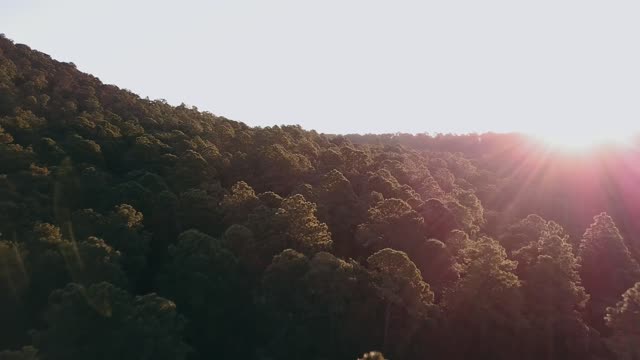 Look at the beautiful deep forest in the air