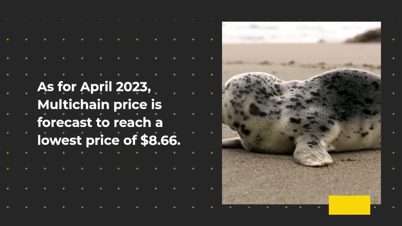 Multichain Price Prediction 2023 | MULTI Crypto Forecast up to $12.85