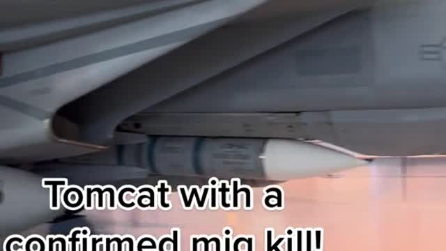 Tomcat with a confirmed mig kill!And I know the pilot!!!