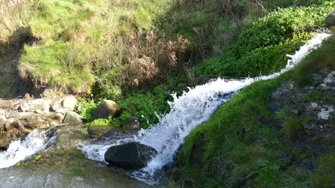 Nature Beauty- River sound-