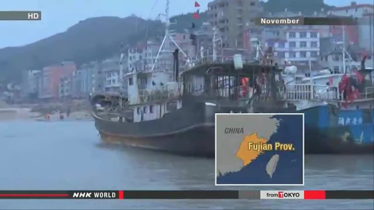 [ News ] China media: 31 people detained for coral poaching