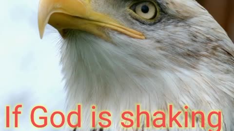 Motivational status