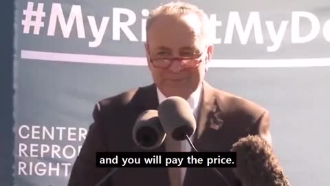 Chuck Schumer Inciting Violence