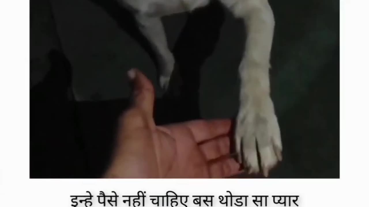 He can not want money pleass he want love
