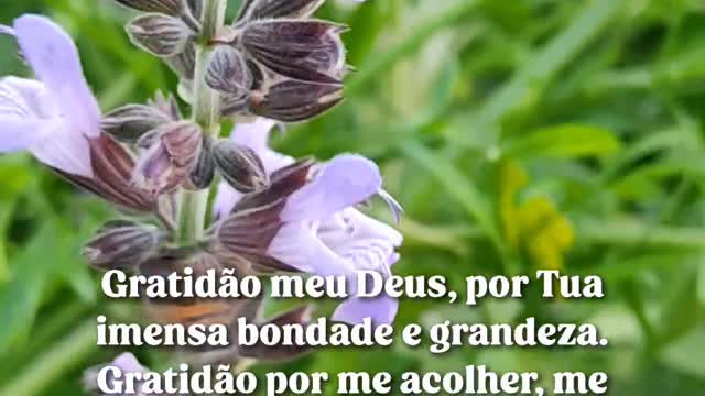 Aprendendo