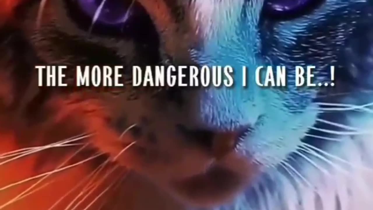 The more silent I'm