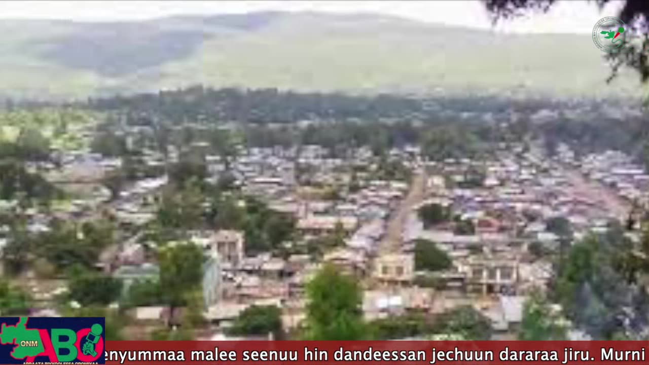 Oduu Waaree ONM-ABO Hagayya 14, 2023