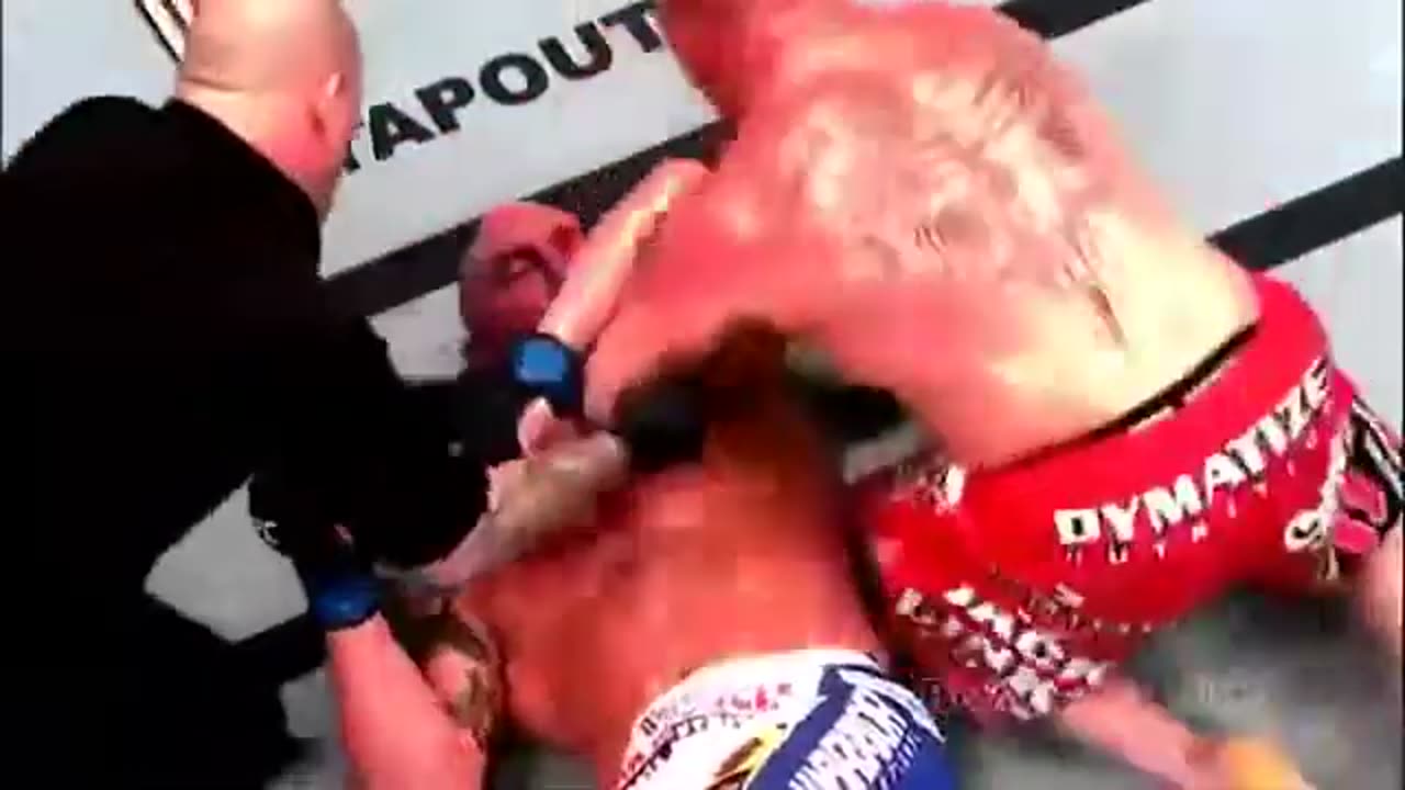 Brock Lesnar Highlights Knockouts MMA UFC