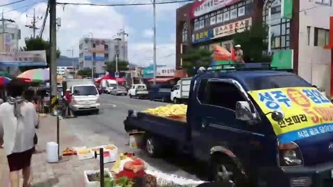 20190710_V3_S02(sDosL5rbzJ8)앵그리블루 사과나무 제가 셋팅했어요