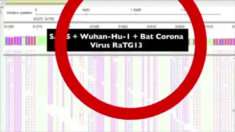 COVID Virus fraud explained in 19 minutes