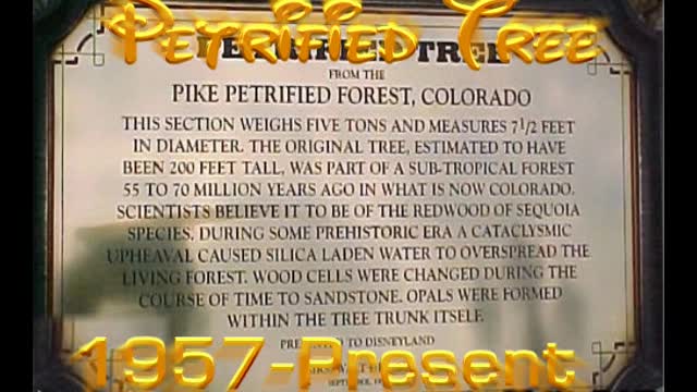 Petrified Tree--Disneyland History--1950's--TMS-617