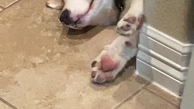 Red is tired