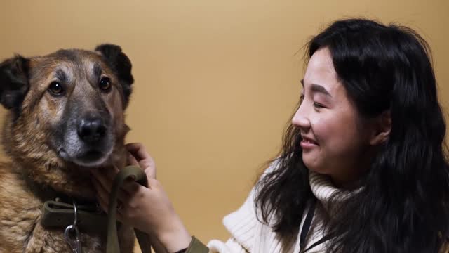 Dog training funny videos || dog funny video