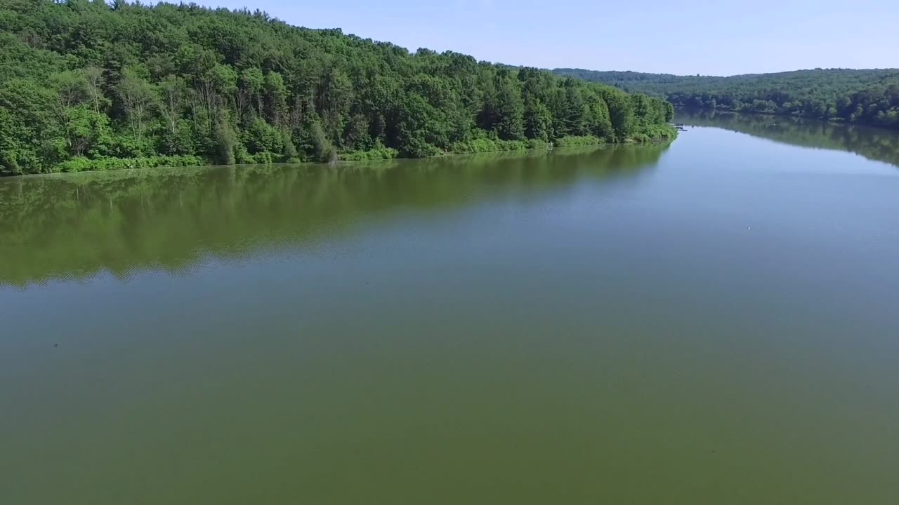 Nature's Paradise: A Bird's-Eye View of a Majestic Lake and Enchanting Forest