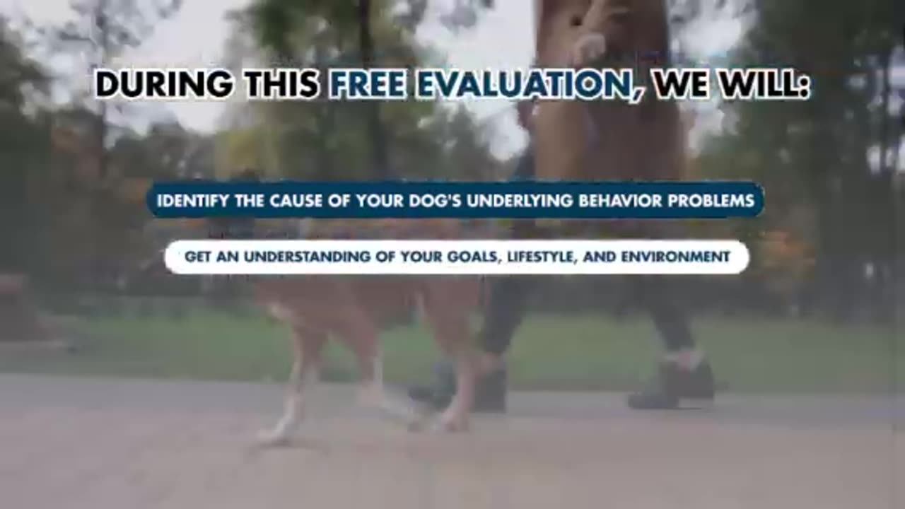 Transform Your Dog's Behavior: Free Evaluation in Salt Lake City!