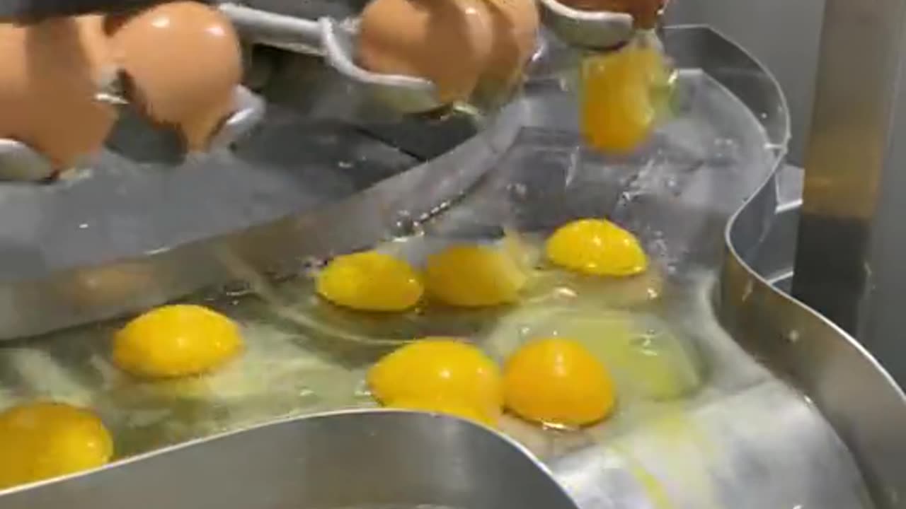 Egg breaker
