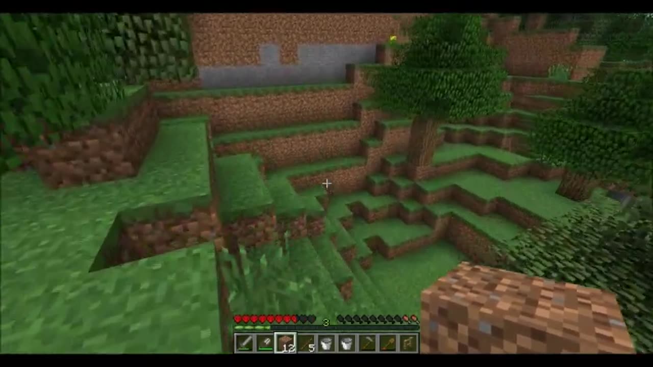 Hardcore Minecraft