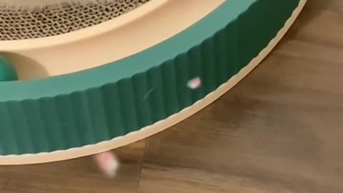 One is quite,the other is active.