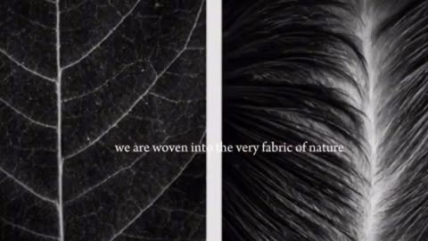 We are nature, as above so below and the doctrine of signatures 🤔