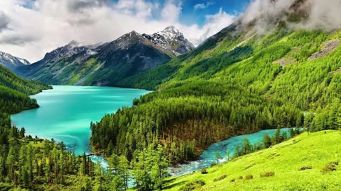 MOST BEAUTIFUL RECITATION OF HOLY QURAN #antidepression recitation of Holy Quran.