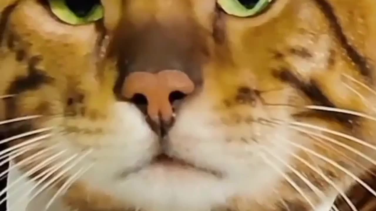 When You See Beuatifull Girl..