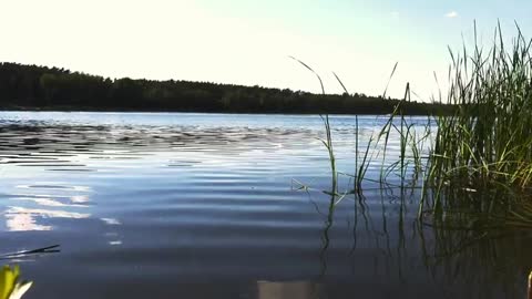 Listen Relaxing Sounds of Lake