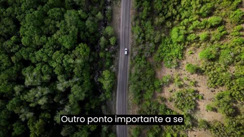 DESVENDANDO O SUCESSO: ENTENDENDO O QUE É E COMO ALCANÇÁ-LO?