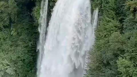 Jog fall