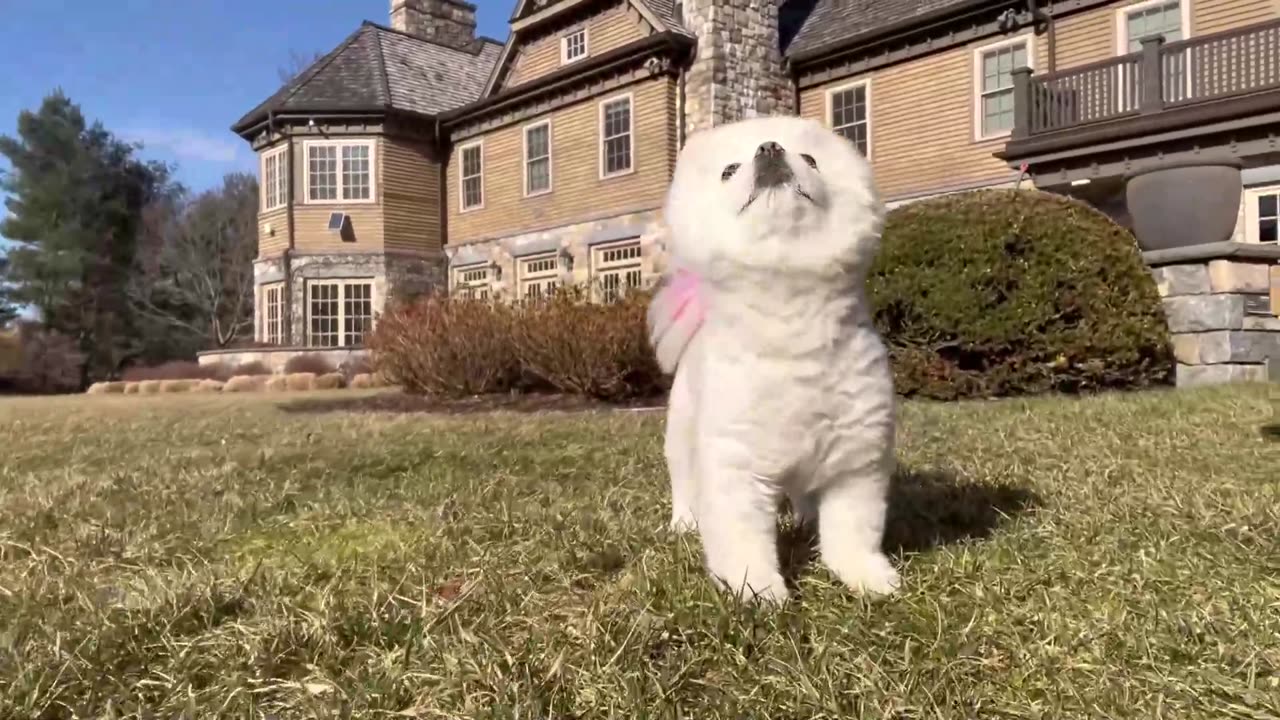 20220306文贵先生GETTR²：被恐惧控制的心，－旦被爱感动，后果很严重，那就是没你不行，👇👇👇👇😂😂😂😂😂要永远在一起，你去哪里我就去哪里：一刻也不能分离！