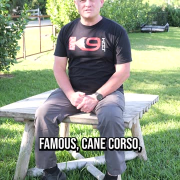 We Have an Announcement!