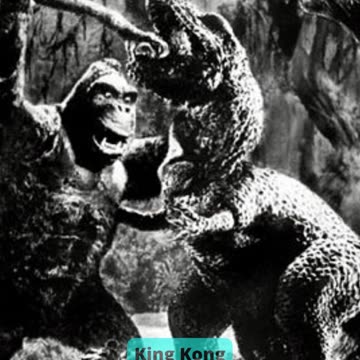 Top 10 Famous Monkeys In The World Part 2