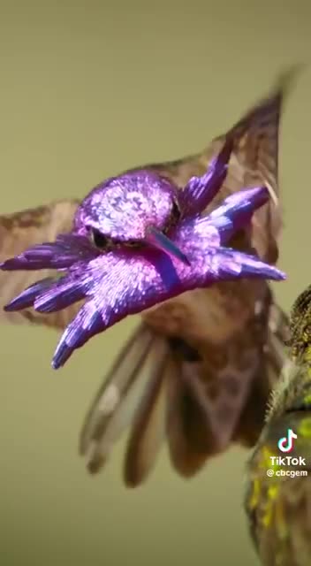 News Break via https://t.me/TheQuantumTime