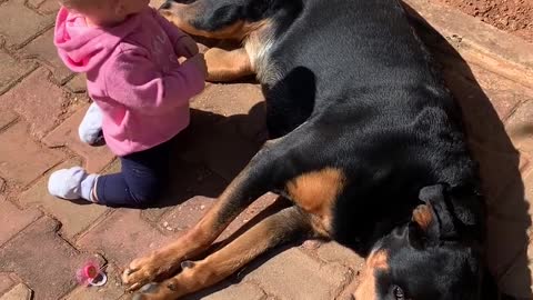 Toddler and Pet Dog Sit on the Pavement Together