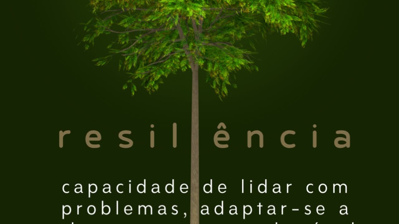 capacidade de lidar com problemas, adaptar-se a mudanças