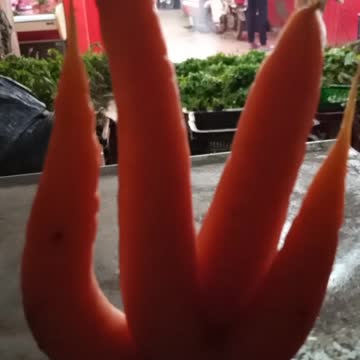 Ait Ourir Marrakech Maroc 3