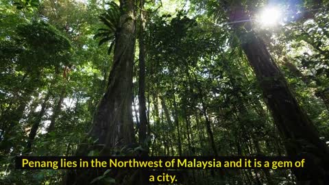 Top 10 The Most Beautiful Place In MALAYSIA To Visit