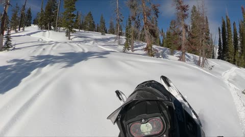 Playing on the hills.