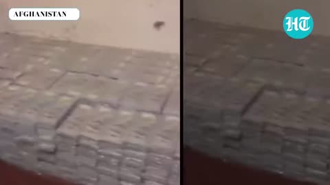 Taliban flaunt weapons, dollars after US, IMF freeze funds amidst Afghan turmoil